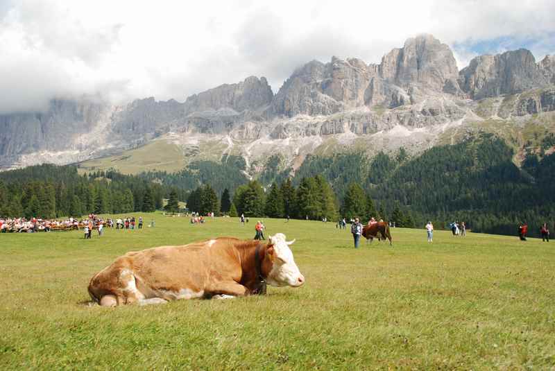 Am Rosengarten wandern mit Kindern in Südtirol