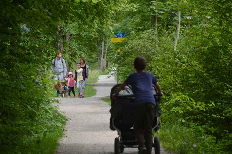 Nach Rottach - Egern durch das dichte Grün wandern mit Kinderwagen