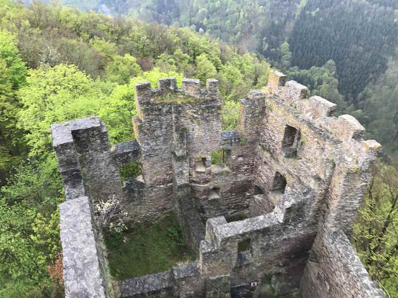 Die Ruine Stauf ist das Ziel unserer Familienwanderung nahe der Donau 