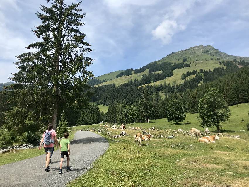 n Saalbach Hinterglemm wandern mit Kindern zur Lindlingalm, geht auch als Kinderwagen Wanderung! 