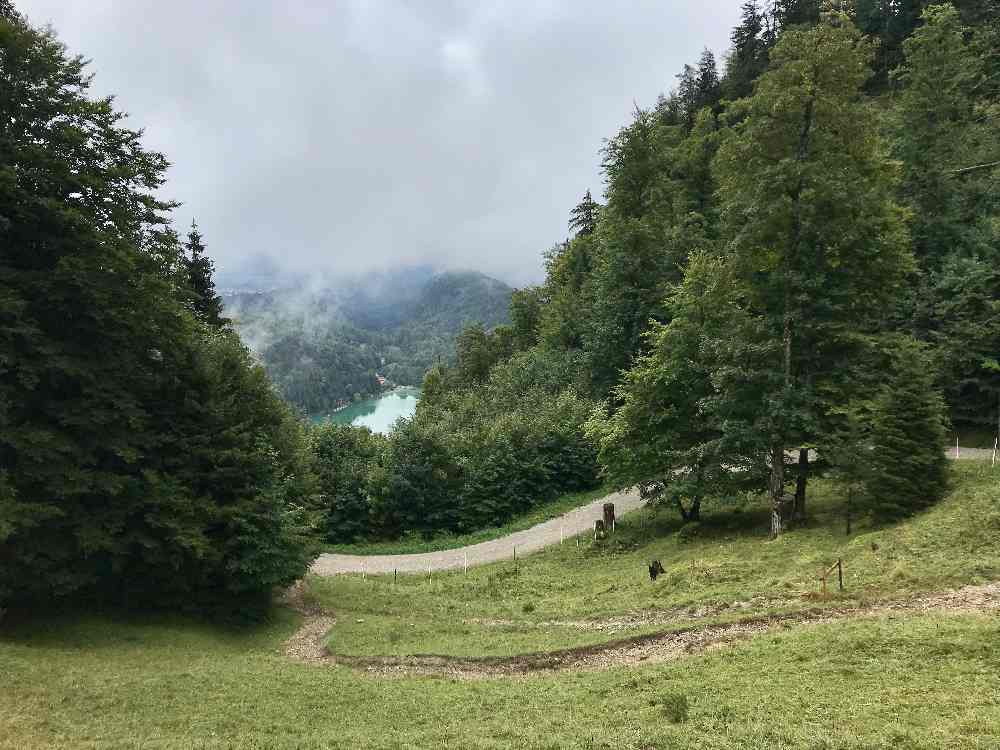  Der Blick bei der Saloberalm auf den Alatsee Füssen