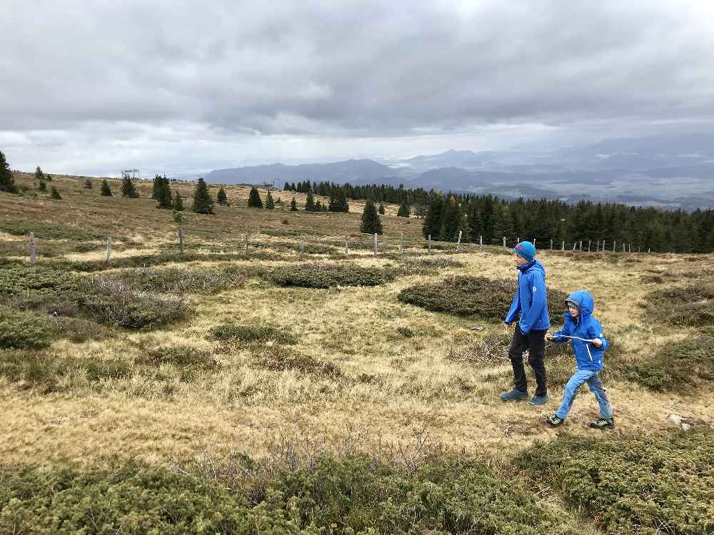 Über die weiten Almwiesen der Saualpe wandern wir hinauf - mit Fernblick trotz Wolken am Himmel