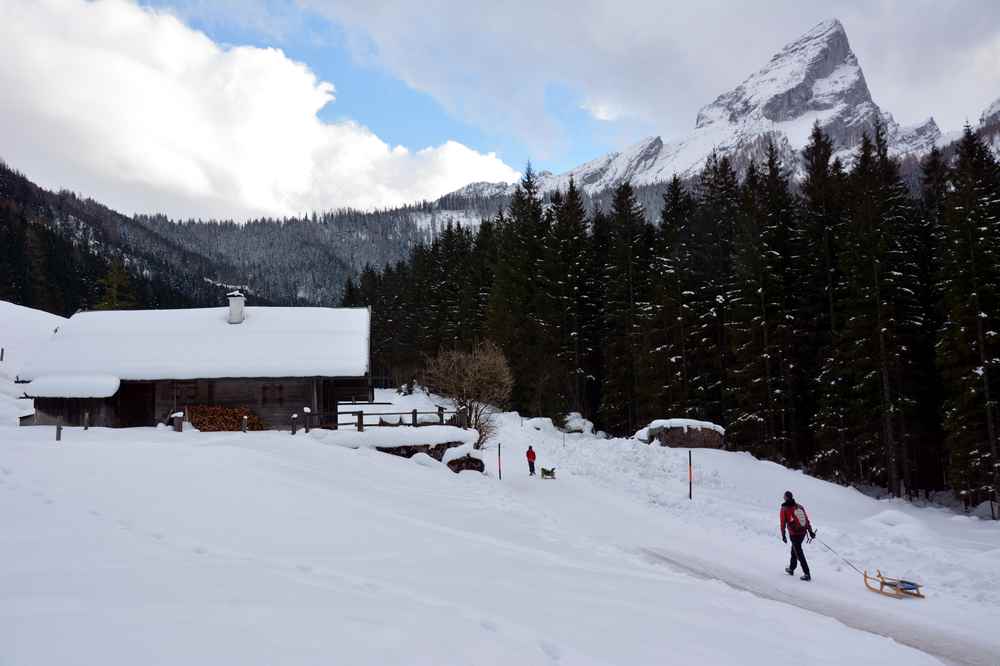 Die Schapbach Rodelbahn: Zur Schapbachalm oder Kührointhütte rodeln mit Kindern in Berchtesgaden 