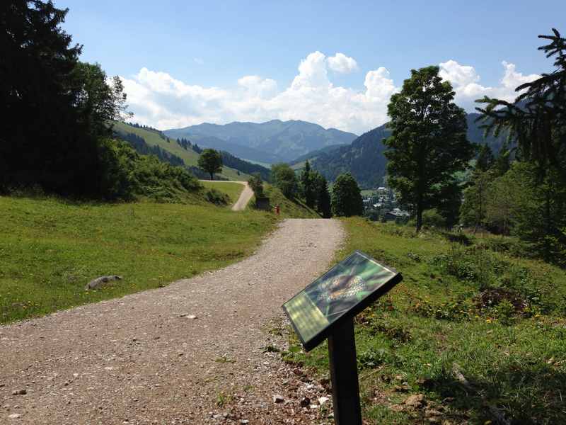 Über den Schmetterlingsweg von der Mussbachalm zurück nach Maria Alm wandern mit Kindern