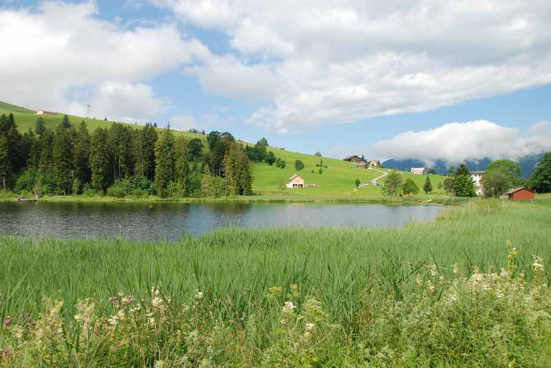 Spaziergang rund um den Schwendisee im Toggenburg