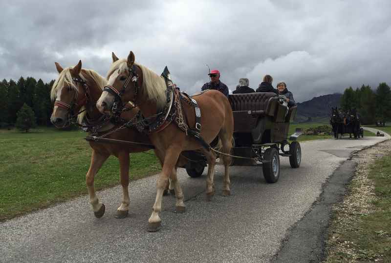 Auf der Seiser Alm mit der Kutsche fahren - direkt bei der Bergbahn ist eine Haltestelle, das Netz zieht sich über die gesamte Alm bis nach Kompatsch