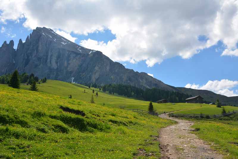 Auf der Seiser Alm mountainbiken zur Zallinger Hütte in Südtirol