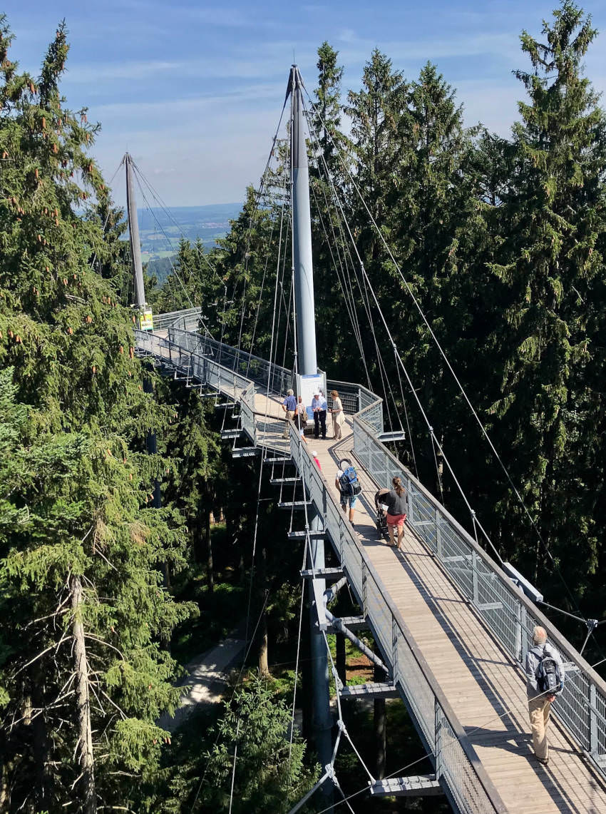 Auf dem Skywalk wandern mit Kindern Allgäu