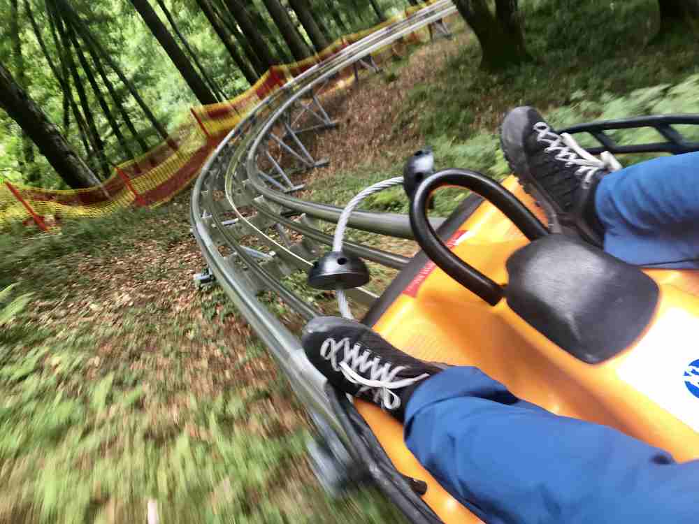 Danach fahren wir rasant hinunter: Die Kolbensattel Sommerrodelbahn hat im unteren Bereich besonders tolle Kurven!