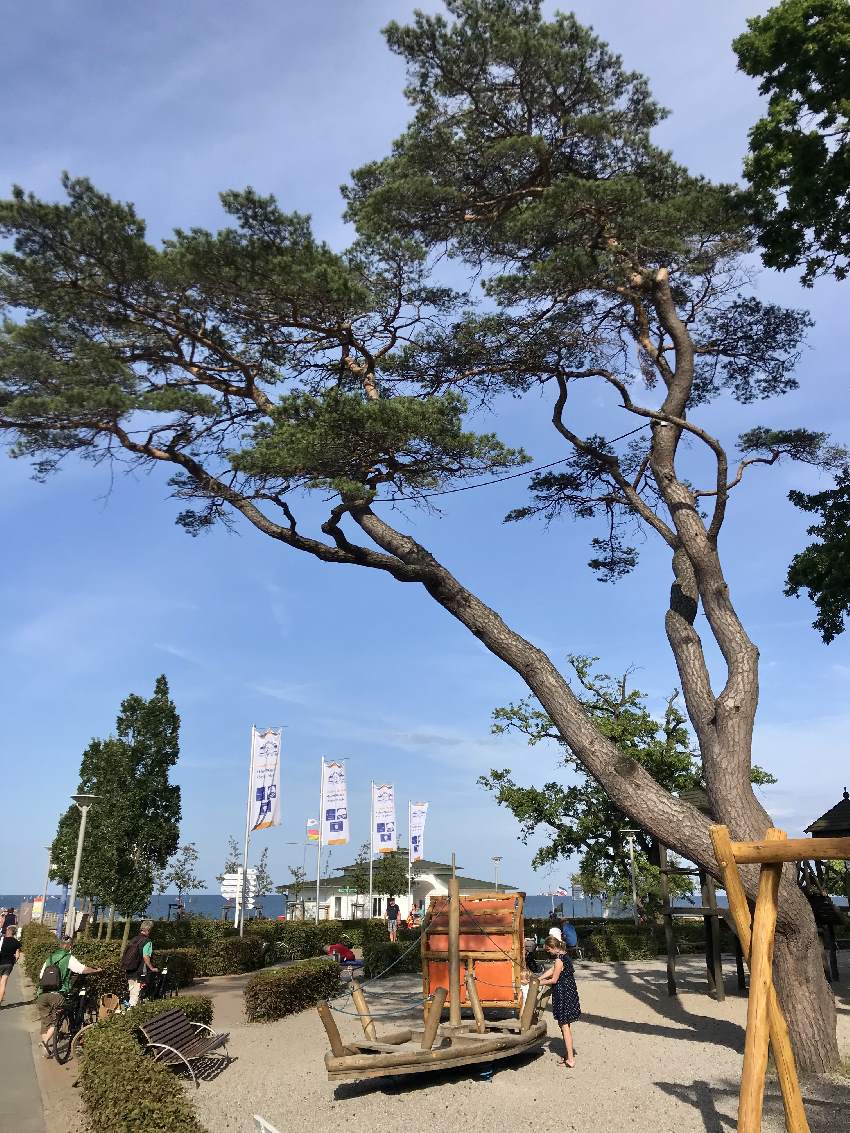 Schöner Spielplatz Rügen, direkt am Strand und der Seebrücke Göhren