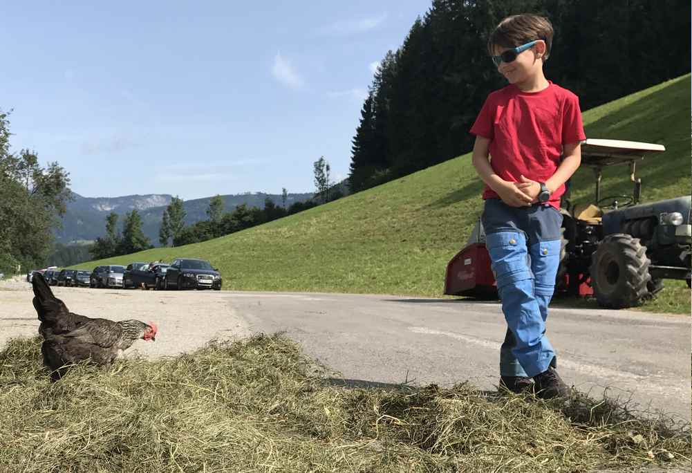 Echtes Landleben: Hier dürfen die Hühner noch frei herumlaufen - das findet unser Kleiner cool