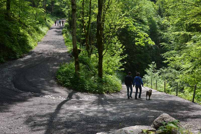 Wald und Sonne wechseln sich bei der St. Georgenberg Wanderung in Tirol