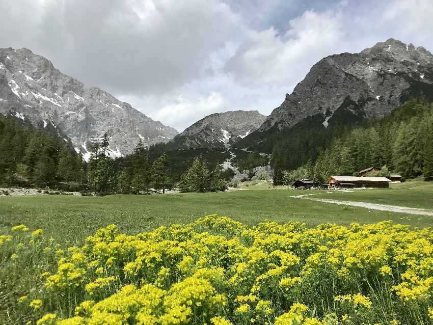 Zur Stallenalm im Karwendel wandern