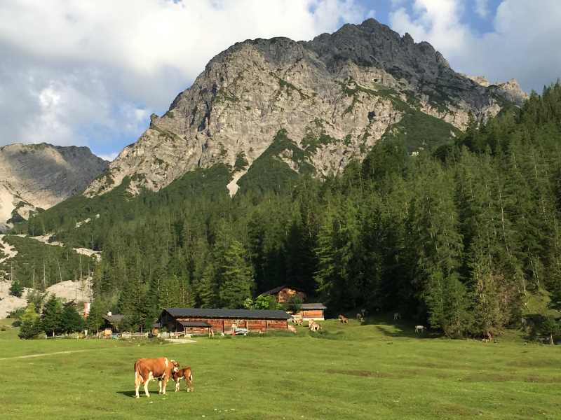 Von hier kann man auch zur Stallenalm wandern mit Kindern