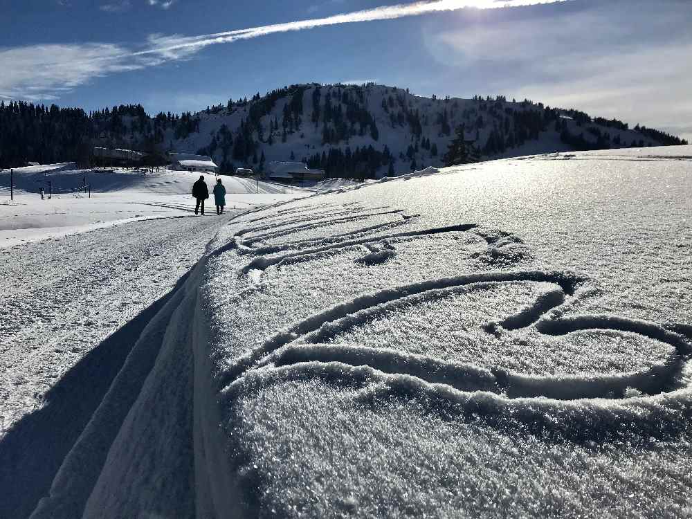 So schön kannst du in Steibis im Allgäu rodeln mit Kindern