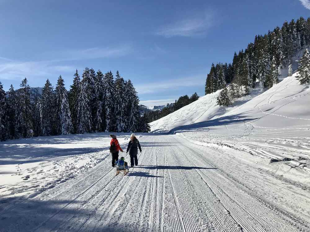 Winterwandern Oberstaufen: Besser von der Bergstation der Imbergbahn loswandern - dann kommst du auf diesen sonnigen Weg und sparst dir den Aufstieg im schattigen Wald