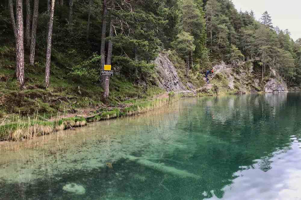 Bei der kleinen Steinwand geht der Wandersteig hinauf - aufpassen mit Kindern!