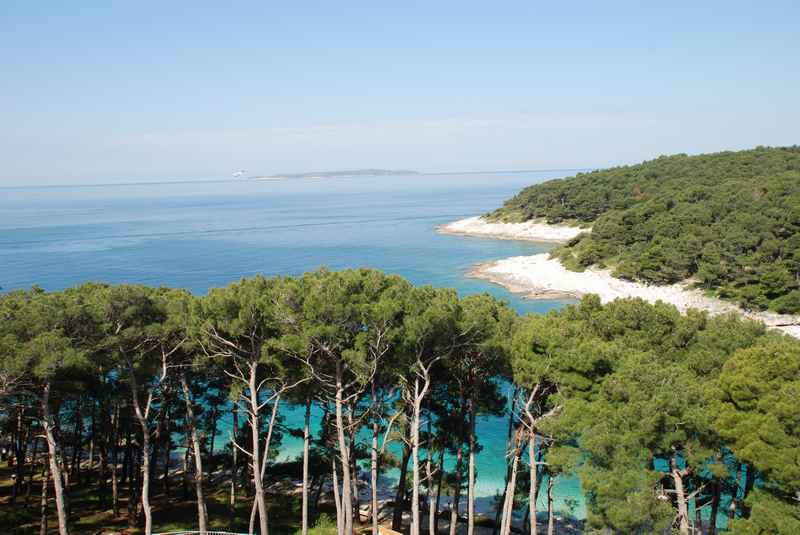 Wunderschön mit Pinien - die Strände auf der Adriainsel Losinj im Kroatien Familienurlaub