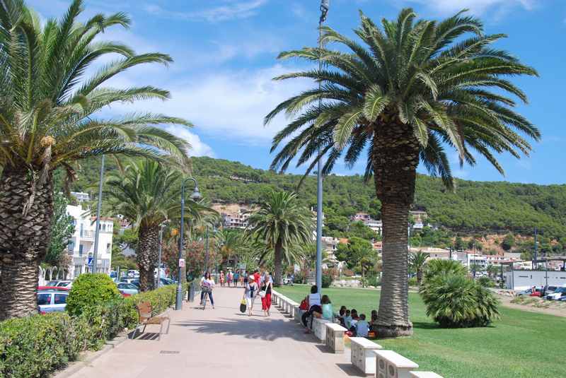 l'Estartit Spanien - die Promenade mit Palmen