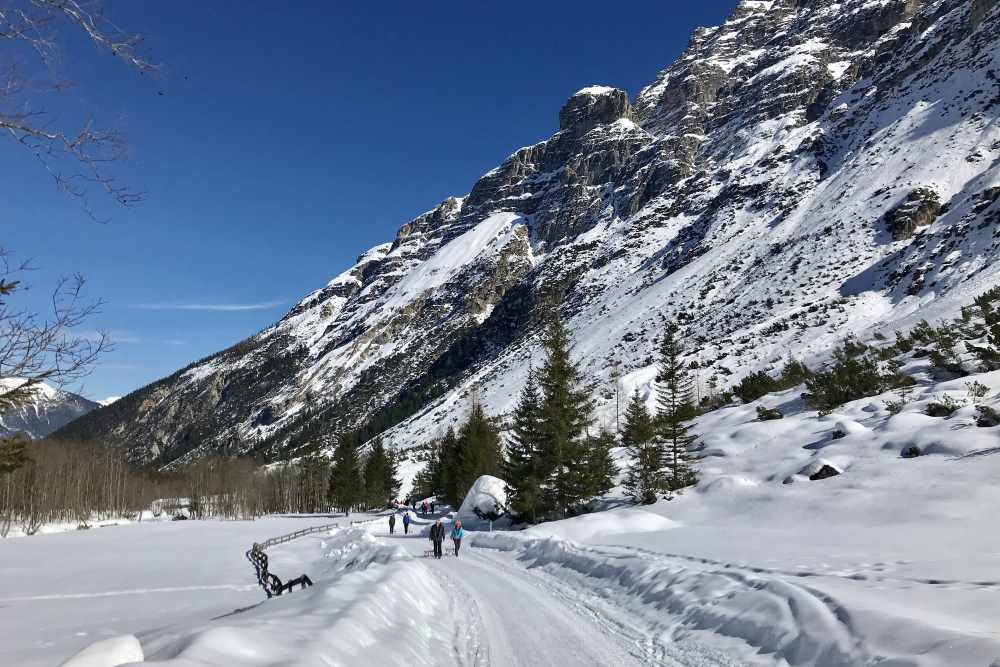  Rodeln Stubaital: So schaut es im Pinnistal aus - eine wunderbare Winterlandschaft auf der Rodelbahn in Tirol 