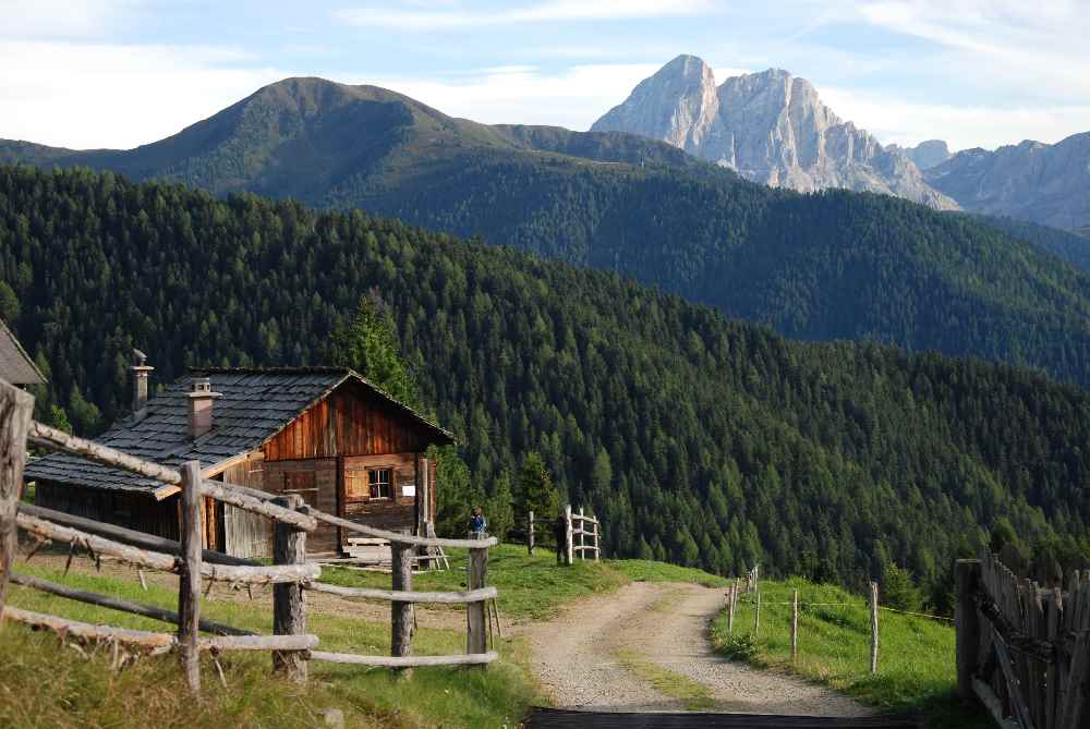  Für uns eine der schönsten Familienwanderungen in Südtirol mit Kindern: Berg und Alm mit viel Ruhe