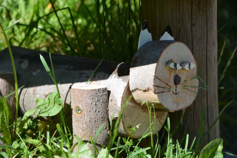 Bei einer Rastbank treffen wir auf diese Katze - sehr geduldig, läuft beim Streicheln nicht weg!