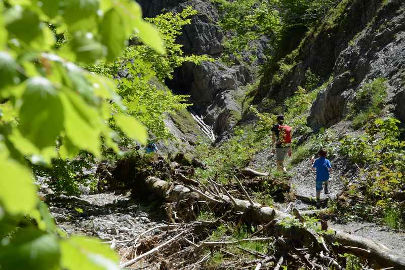 Abenteuerland für Kinder: Durch die wilde Flußlandschaft wandern