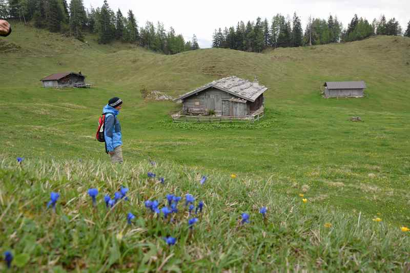 Lofer wandern leider nur im Nebel: Die Thällernalm in den Chiemgauer Alpen