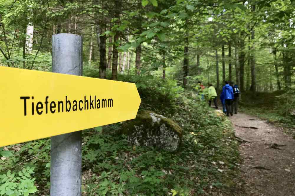 Und los: Der Wanderweg durch die Tiefenbachklamm