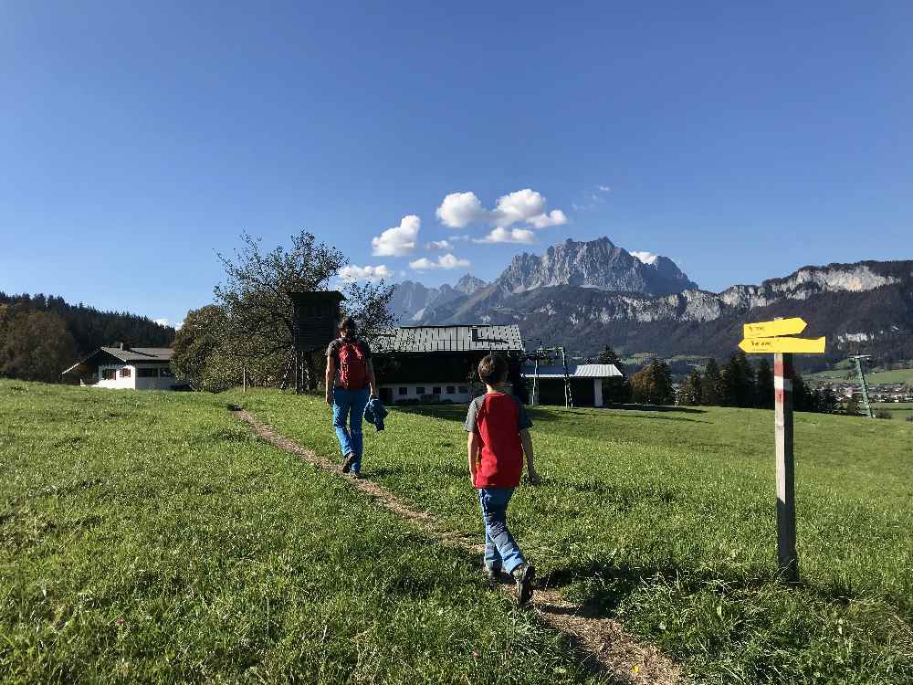 Mit Blick auf das Kaisergebirge wandern wir zurück - so schön der Wilde Kaiser!