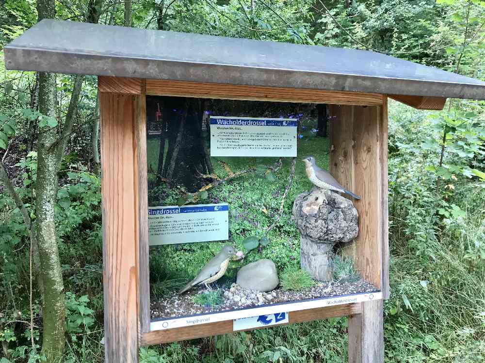 Das ist eine der Stationen vom Vogellehrpfad am Alatsee mit Kindern 