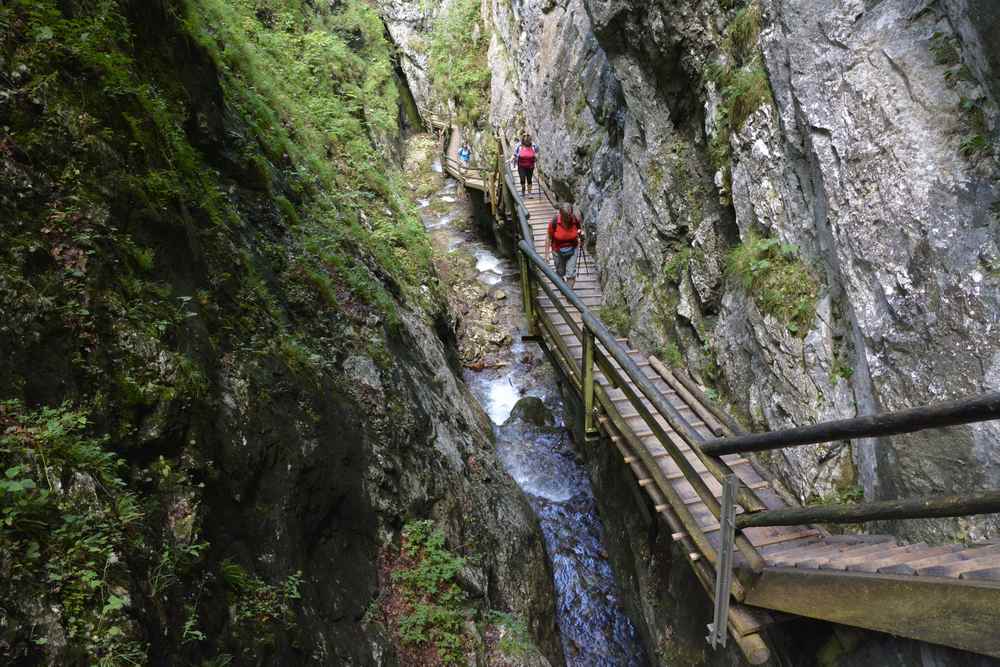 Spektakulär in der Dr. Vogelsang Klamm: Der Blick von oben auf die Felsen und den Klammsteig