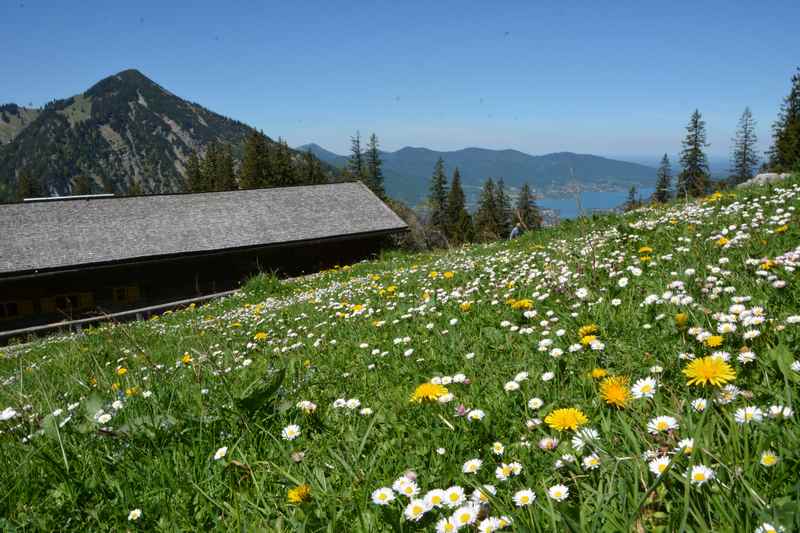 Wir freuen uns an dem Blick hinüber zum Wallberg und hinunter zum Tegernsee