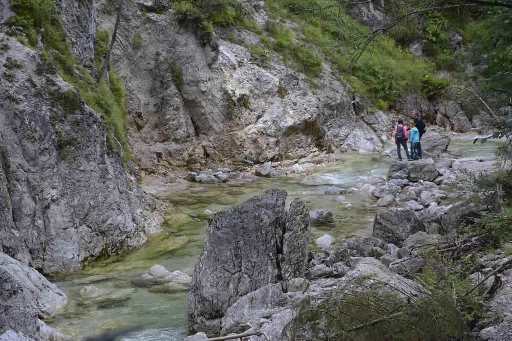 Immer wieder gibt es auf der Familienwanderung einen Zugang zum Ötscherbach