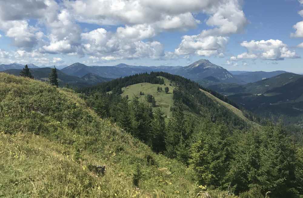 Danach brechen wir auf, um auf den Tirolerkogel zu wandern - für diese Aussicht auf den Ötscher