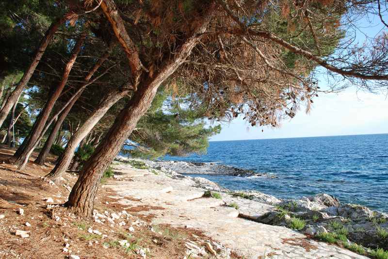 Mali Losinj wandern - immer am Meer entlang