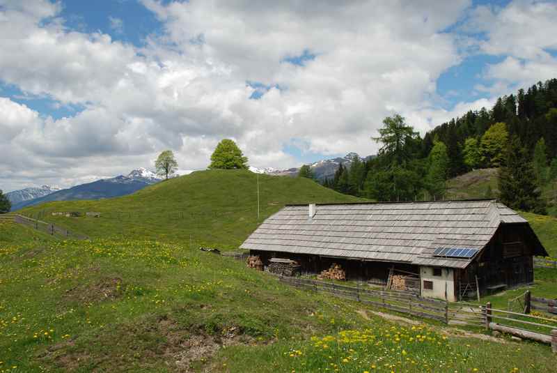 Rund um den Weissensee in Kärnten gibt´s aber auch schöne Almen