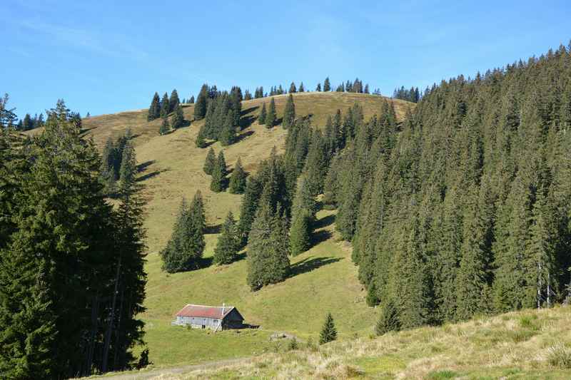 Sanfte Hügel und Alpen: Wandern mit Kindern im Allgäu