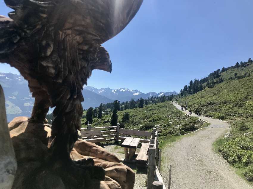 Über den breiten Weg kannst du Wandern mit Kinderwagen im Zillertal