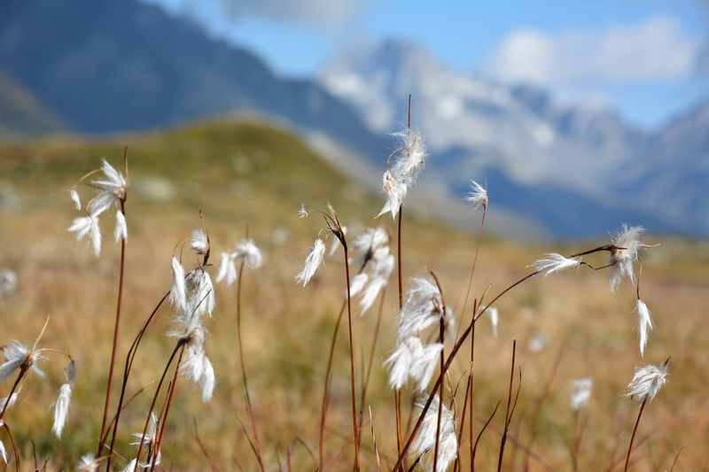 Wanderurlaub mit Kindern: Beim Wandern mit Kindern die Natur hautnah erleben 