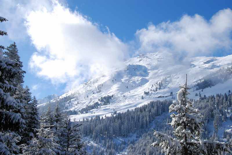 Rodelbahn und viel Winter: Weidener Hütte rodeln in den Tuxer Alpen 