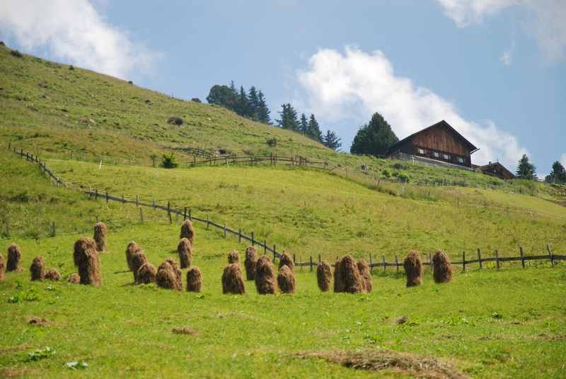 Weidener Hütte wandern mit Kinderwagen: Im Sommer sind die Heumandln im Bereich der Almen zu sehen
