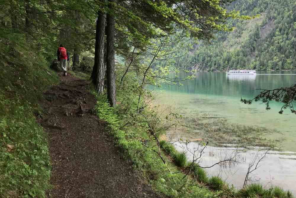 So schön ist der Wandersteig vom "Ronacherfels" in Richtung "Kleine Steinwand"