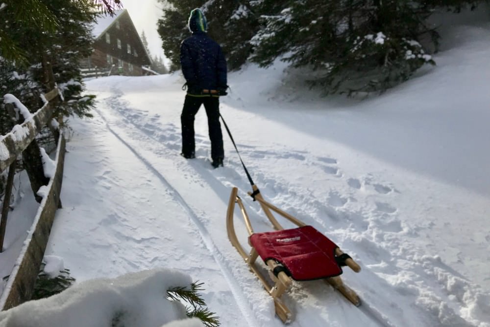 Entspannter Winterurlaub Deutschland mit Kindern: Ein schönes Naturerlebnis beim Rodeln