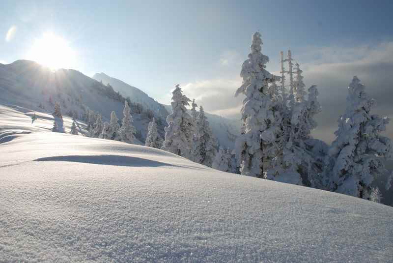 Winterurlaub mit Kleinkind:  Durch den frischen Pulverschnee stapfen und einfach nur geniessen