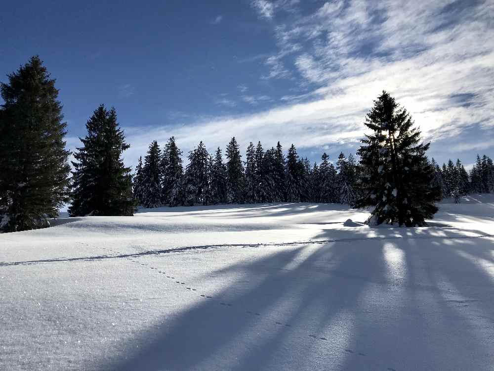 Winterwandern Oberstaufen am Hündle - je nach Lust zwischen 45 Minuten und 2 Stunden in der Winterlandschaft wandern