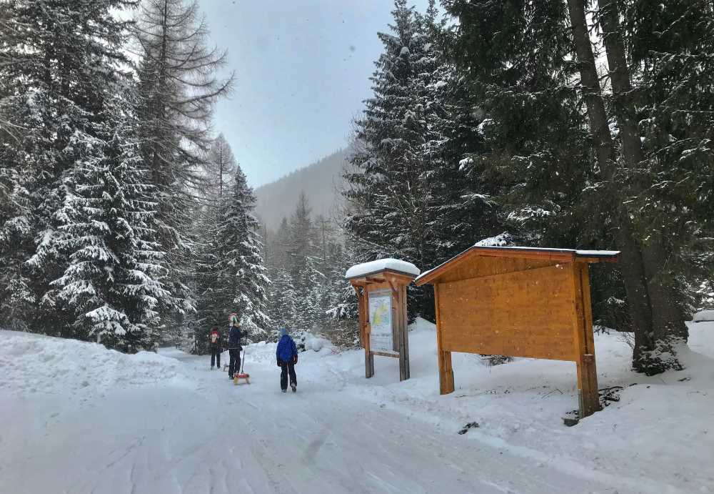 Rodelbahn Obernberger See: Im frischen Schnee starten wir die Winterwanderung auf der Rodelbahn zum Obernberger See 