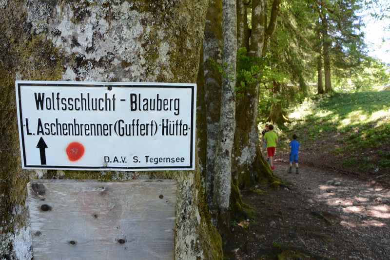 In Richtung Wolfsschlucht und Blauberge wandern wir weiter