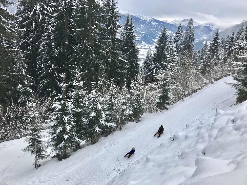 Rodeln Zillertal: So schön ist das Rodeln in Fügen - 3 Fügen Rodelbahnen zeige ich euch hier. 