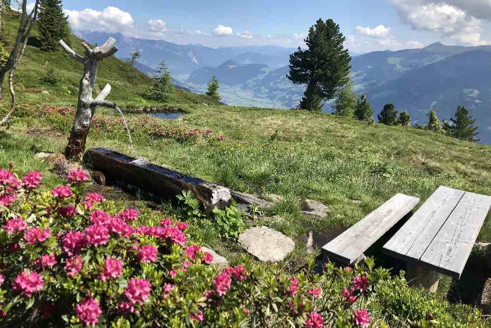 Oben kommen wir an diesem schönen Brunnen vorbei